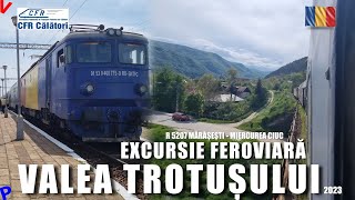 MarasestiComanesti  Valea Trotusului  Calatorie cu trenul in viteza pe Linia 501 [upl. by Ellednek]