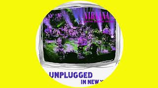 Nirvana  Pennyroyal Tea MTV Unplugged  Guitar Backing Tracks [upl. by Yenal]