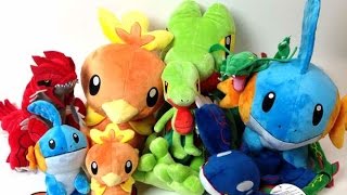 Pokemon Center Lifesize Mudkip Torchic Treecko Plush Legendary Rayquaza Groudon amp MORE [upl. by Araz627]