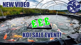 REBUILDING MY KOI FARM AGAIN THE KOI SALE EVENT TICKETS [upl. by Zingale]