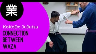 Connecting your KoKoDo JuJutsu Techniques [upl. by Yenhoj649]