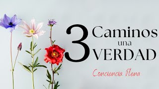 3 caminos una VERDAD 🎁 Audiolibro completo en español [upl. by Enom]