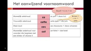 Uitleg Aanwijzend Voornaamwoord Frans [upl. by Nanah]