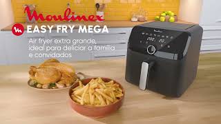 Air Fryer Easy Fry Mega Coal [upl. by Ahsaya912]