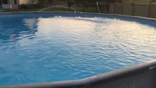 Intex Pool Hidden Danger [upl. by Lav265]