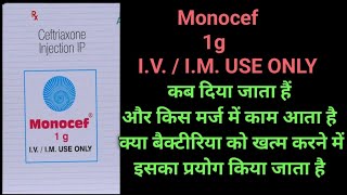 Monocef 1g use monocef 1g dose monocef 1g side effect [upl. by Erv667]