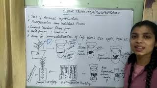 Micropropagation Clonal Propagation In Plant Tissue Cultureakanshasaroha [upl. by Barty]