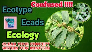 Ecotype and ecads in Bengali  Full explanation with examples [upl. by Elleirb175]