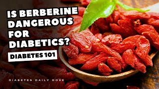 Is Berberine Dangerous For Diabetics [upl. by Kali566]