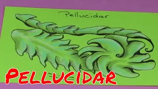 Pellucidar [upl. by Anicnarf]