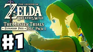 Trial of the Sword Beginning Trials  The Legend of Zelda Breath of the Wild DLC Pack 1 Gameplay [upl. by Assirac]