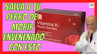 VÍTAMINA K1 ✅ MEJOR ANTÍDOTO PARA PERROS ENVENENADOS CON RATICIDA [upl. by Atteynek]