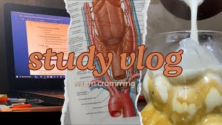 Study Vlog  Cramming for an exam [upl. by Anibla]