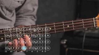 How to Play D ♯  E Flat Minor Scale  Bass Guitar [upl. by Maletta635]