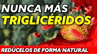 6 Plantas que bajan los Triglicéridos sin pastillas de forma natural [upl. by Anaitat]