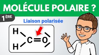 Liaison polarisée et molécule polaire ✏️ Exercice  1ère  Chimie [upl. by Aleahcim966]