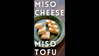 MISO MARINATED CHEESE amp TOFU shorts  Takoshiho Cooks Japan [upl. by Brynna]