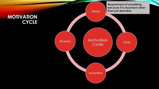 Motivation Cycle  Transition States Of Motivation Cycle [upl. by Wood]