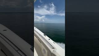 Testing out a 2024 Sailfish 360 CC in Port St Joe at Grander Marine centerconsoleboats yamaha [upl. by Tomas]