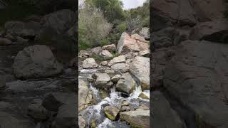 Peñasquitos Creek Falls Upper Triple Cascades May 152024 [upl. by Kabab913]