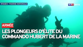 Aux côtés des plongeurs délite du mythique commando Hubert de la Marine [upl. by Rovaert]