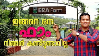 Era Farm parinthalmanna  place to visit malappuram  ERA Nature  Gvlogs [upl. by Eanore]