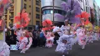 CABALGATA CARNAVAL 2015 LAS PALMAS DE G C POR LUIS HERNÁNDEZ [upl. by Hanna]