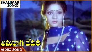 Anuraga Devatha Movie  Choosuko Padhilanga Video Song  NTR Jayapradha  Shalimar Songs [upl. by Kalk]