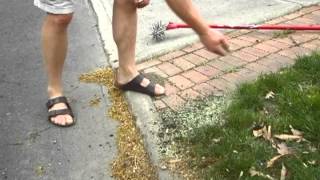 Easy Way to Seed Your Lawn [upl. by Ecniv]