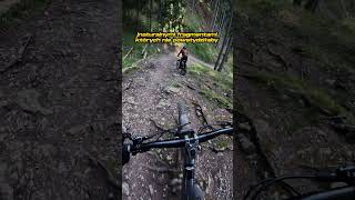 Modry Zamat  Flow na Słowacką modłę 🇸🇰 • Malino Brdo Bikepark • Ruzomberok [upl. by Phenice]