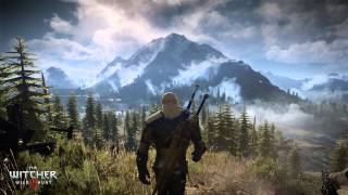 The Witcher 3 Wild Hunt OST quotThe Fields of Ard Skelligquot [upl. by Maridel]