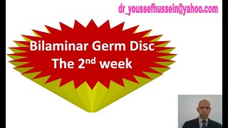 8 The 2nd week  Bilaminar germ disc [upl. by Feil267]