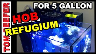 HOB REFUGIUM MINI  FOR A 5 GALLON  PART 2 [upl. by Tuorah451]