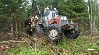 Belarus Mtz 1025 in forest [upl. by Memory335]