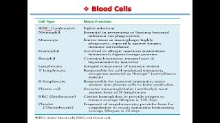 Adult Health Nursing  Lecture 22 Hematologic Disorders  Part 1 Anemia overview [upl. by Lugar]