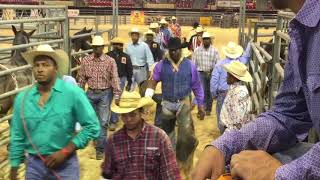 2017 Bill Pickett Invitational Rodeo Grand Entry [upl. by Callida]