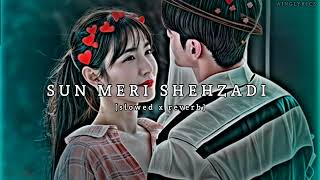 Sun Meri Shehzadi slowed x reverb Sun Meri Shehzadi slowed and Reverb romantic song [upl. by Pulcheria]