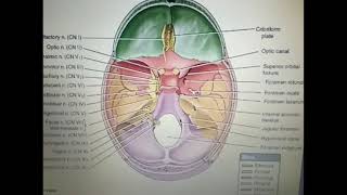 CRANIAL NERVES PART1 BY DR MITESH DAVE [upl. by Annawal788]