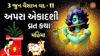 3 જુન 2024 અપરા એકાદશી વ્રત કથા મહાત્મ્ય  Apara Ekadashi Vrat Katha Mahatmya  Ekadashi Vrat [upl. by Elleirbag107]