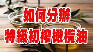 100 特級初榨橄欖油的3個特色  水果味、苦味、辣味  嚐嚐家中的橄欖油吧 [upl. by Ariamo]