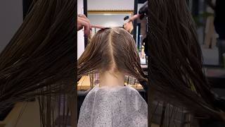 Color Gloss to fix dry frizzy hair with GuyTang REFLECT liquid Demi [upl. by Dania]