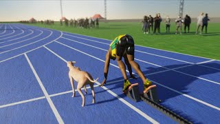 Usain Bolt VS Fastest Dog [upl. by Winnie]