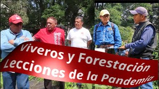 Lecciones de pandemia en CU Viveros y Forestación [upl. by Kenweigh412]