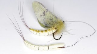 Make a perfect foam Mayfly body with Bram van Houten [upl. by Schram243]