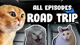 FRIENDS ROADTRIP CAT MEME COMPILATION [upl. by Melquist581]