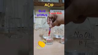 Litmus Paper Test for Acid and Base experiment chemistry acid base litmuspaper [upl. by Nwahsauq]