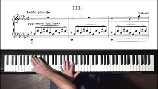 Liszt Consolation No3  P Barton FEURICH 218 piano [upl. by Ecyoj]