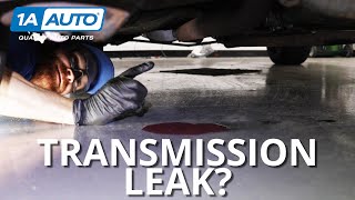 Puddle Under Your Car or Truck How to Diagnose Transmission Leaks [upl. by Nairadas]