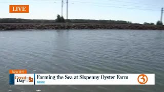 Sixpenny Oyster Farm [upl. by Ahtanoj774]