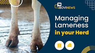 Webinar Managing Lameness in your Herd [upl. by Aenat]